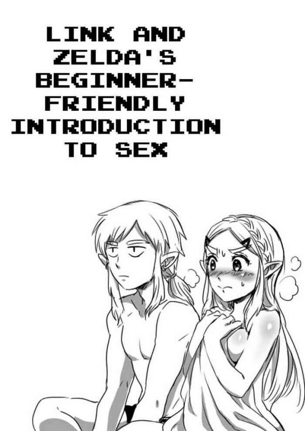 link to zelda no shoshinsha ni yasashii sex nyuumon link and zelda x27 s beginner friendly introduction to sex cover