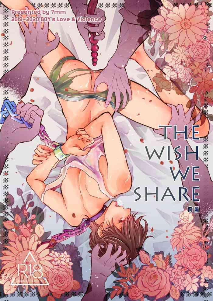 the wish we share zenpen cover