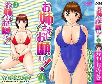 oneesama ni onegai vol 3 cover