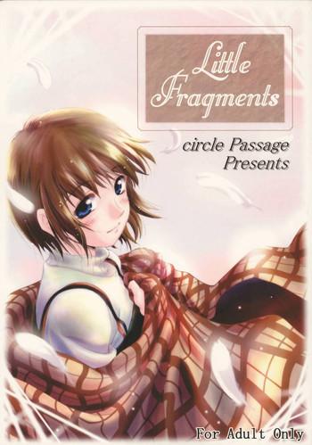 little fragments cover