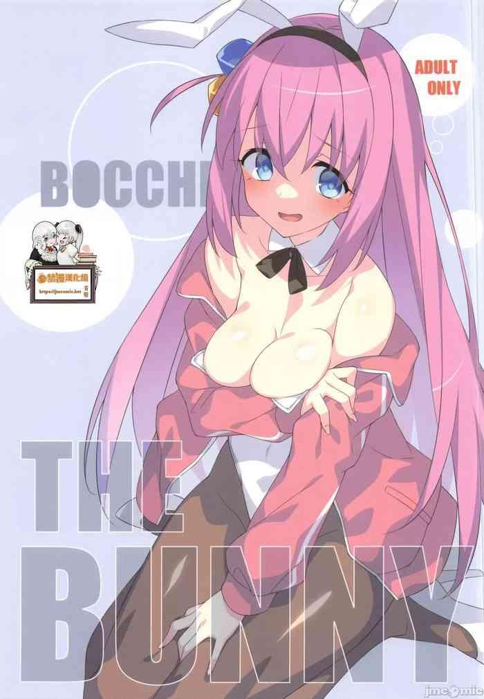 bocchi the bunny cover