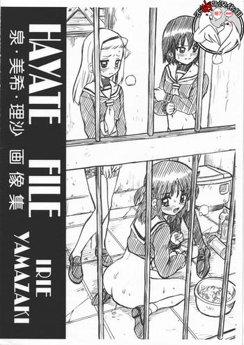 hayate file izumi miki risa gazoushuu cover