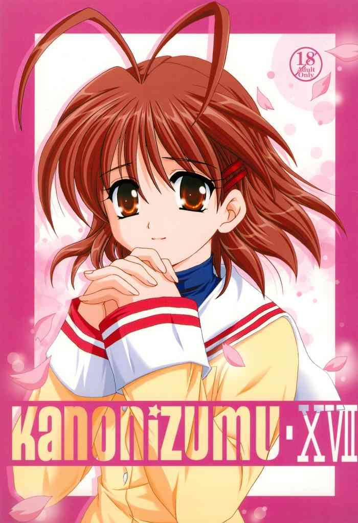 kanonizumu xvii cover