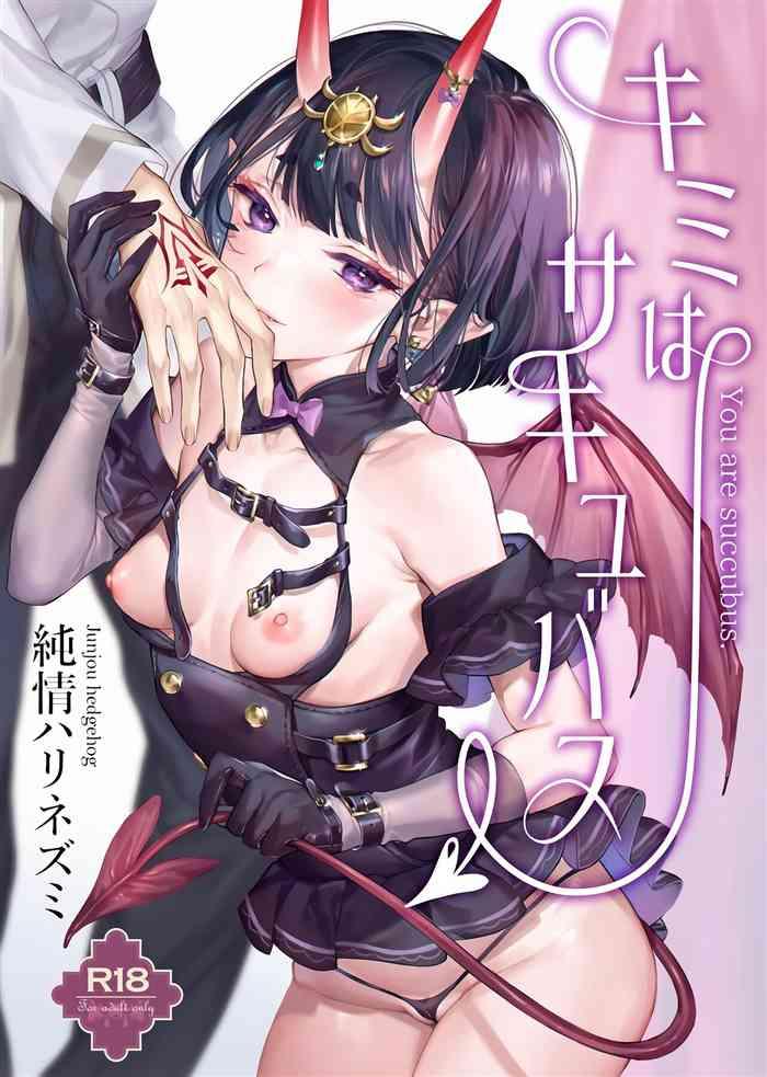 kimi wa succubus cover