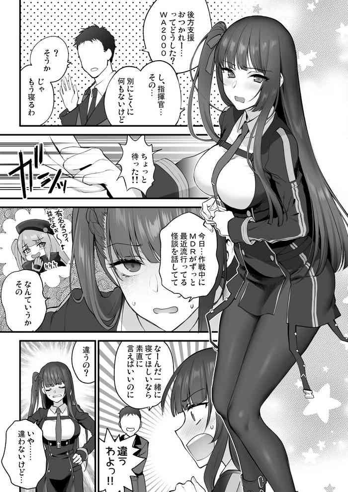 wa2000 ecchi manga cover