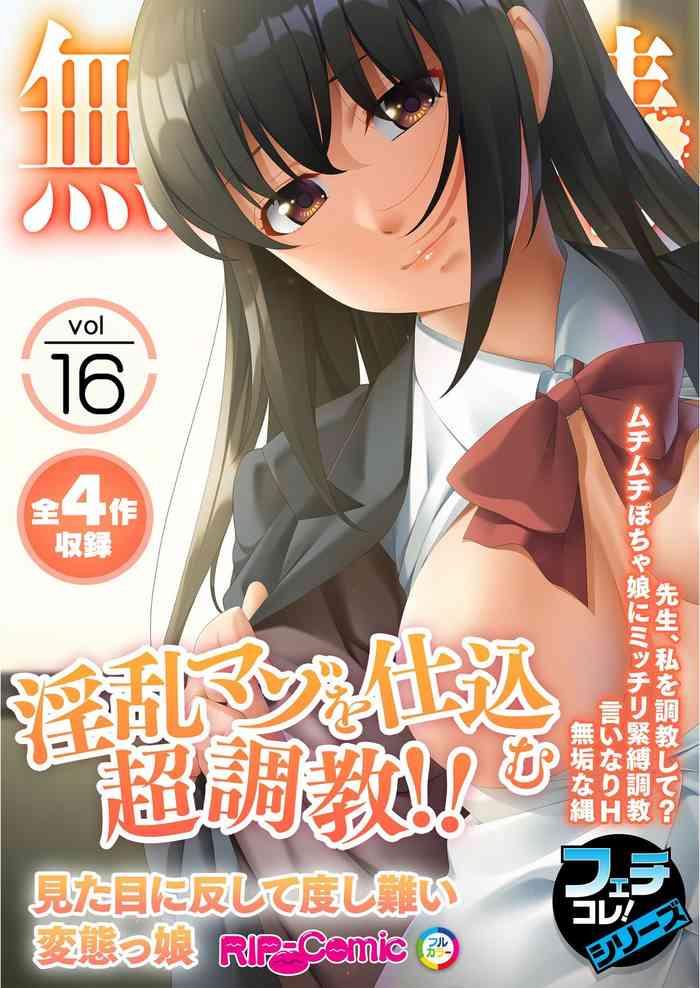 vol 16 cover