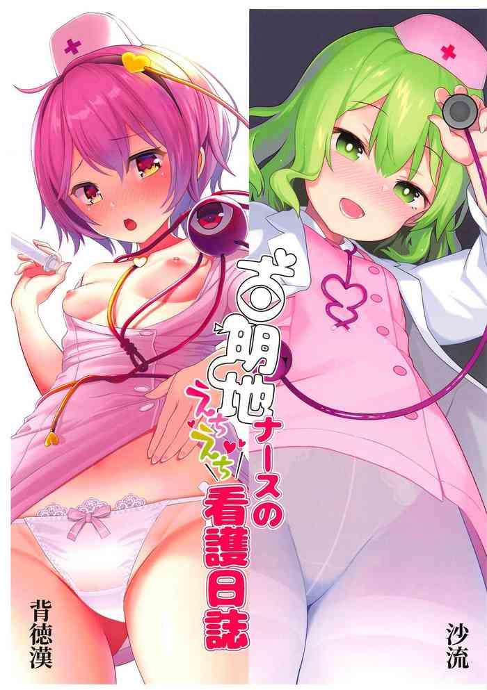 komeiji nurse no echi echi kango nisshi cover