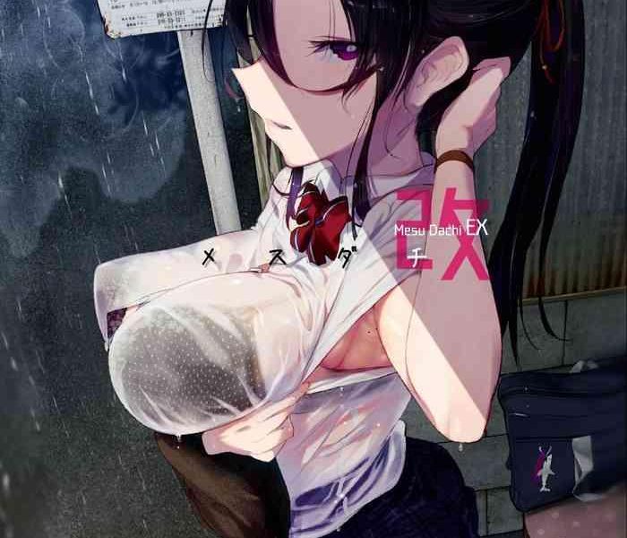 mesu dachi ex cover