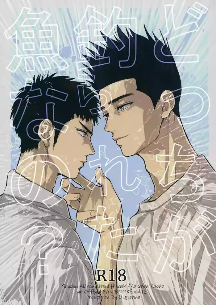 docchi ga tsurareta sakana nano cover